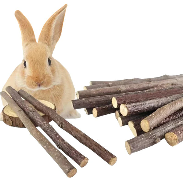 Teeth Grinding Apple Tree Stick for Bunnies, Hamsters, and other Small Pets