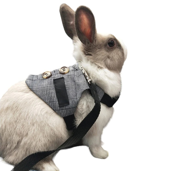 Cute and Funny Harness and Leash Set for Bunnies and Other Small Pets