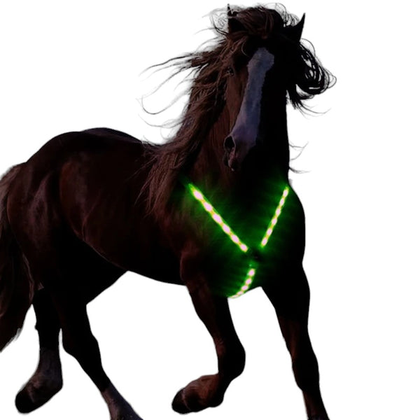 Amazing Night Visible LED Light Horse Collar Harness