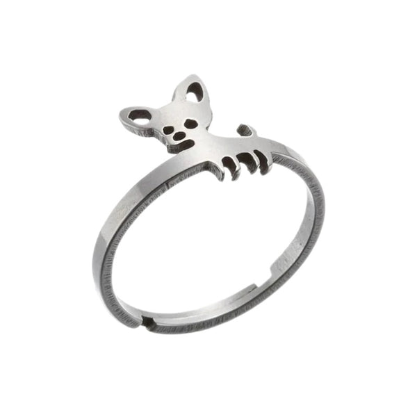 Lovely Chihuahua Dog Open Ring