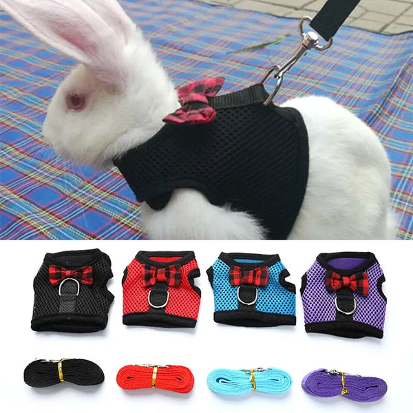 Cute Bowtie Harness and Leash Set for Bunnies and Small Pets