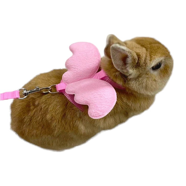 Cute Angel Wings Harness and Leash for Bunnies, Cats and Small Pets