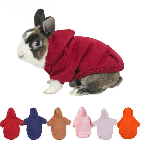 Cute Hoodie for Bunnies and Small Pets