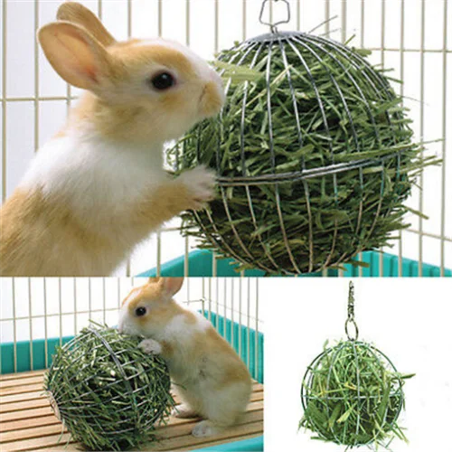 Sphere Food Dispenser Exercise Ball for Bunnies and Small Animals