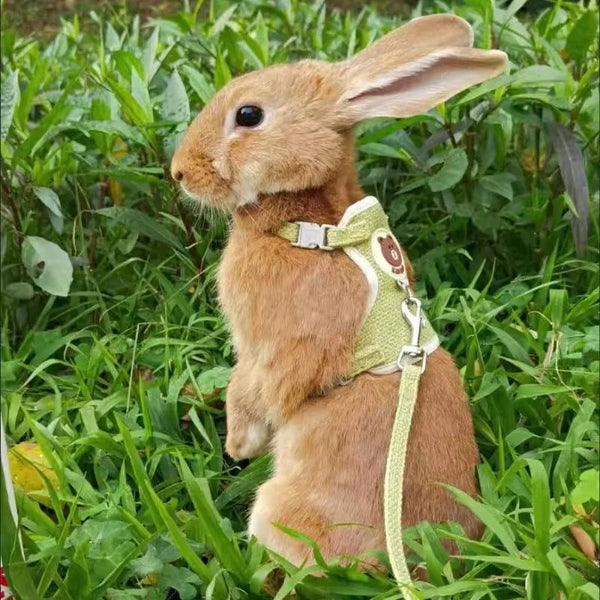 Adorable Harness and Leash Set for Bunnies and Small Pets