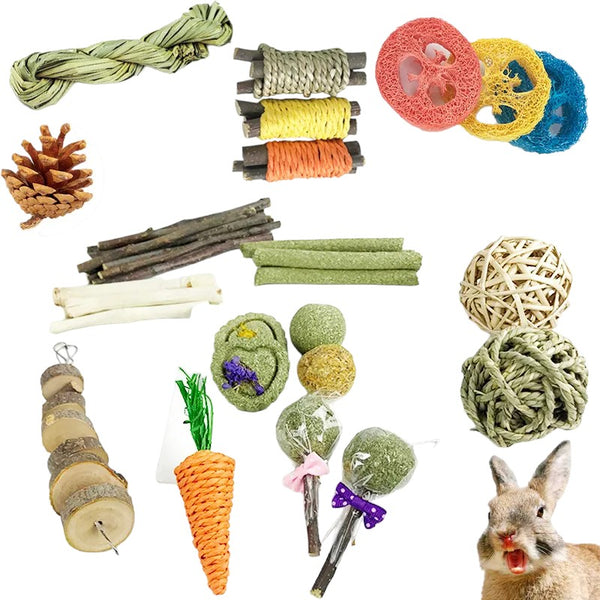 Teeth Cleaning Chew Toy Sets for Bunnies and other Small Pets