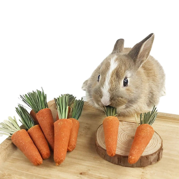 3Pcs/bag Carrot Chewing Snack for Bunnies and Small Pets