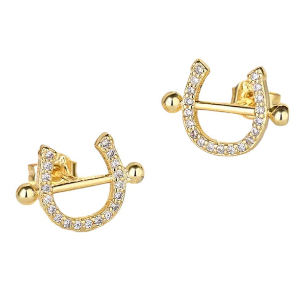 Amazing S925 Silver Horseshoe Earrings