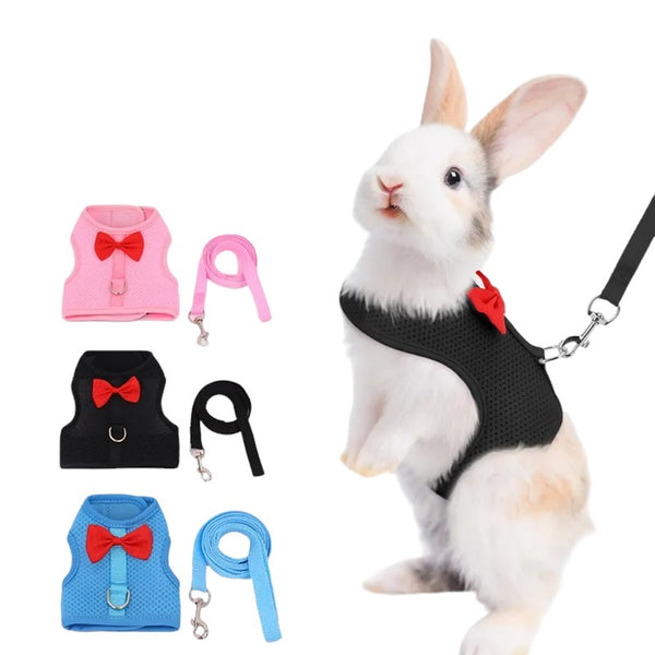 Cute Simple Bowtie Harness and Leash for Bunnies, and Other Small Pets