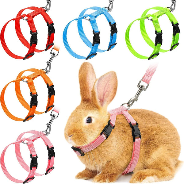 Simple Comfortable Harness and Leash Set for Bunnies, Cats and Small Pets