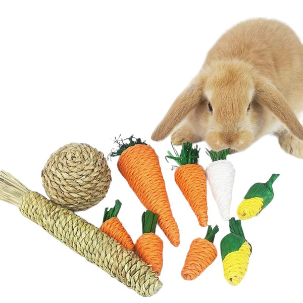 Cute Vegetable Chew Toys for Bunnies and other Small Pets